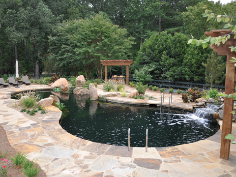 Natural Swimming Pool, Custom Pool, Inground Pools, Spas, Swimming Pools, The Clearwater Company, Columbia, SC
