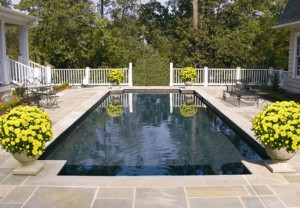 Rectangle Pool with Raised Wall on Lake Katherine – The Clearwater Pool ...