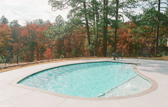 Pool with Tanning Ledge, Custom Pool, Inground Pools, Spas, Swimming Pools, The Clearwater Company, Columbia, SC
